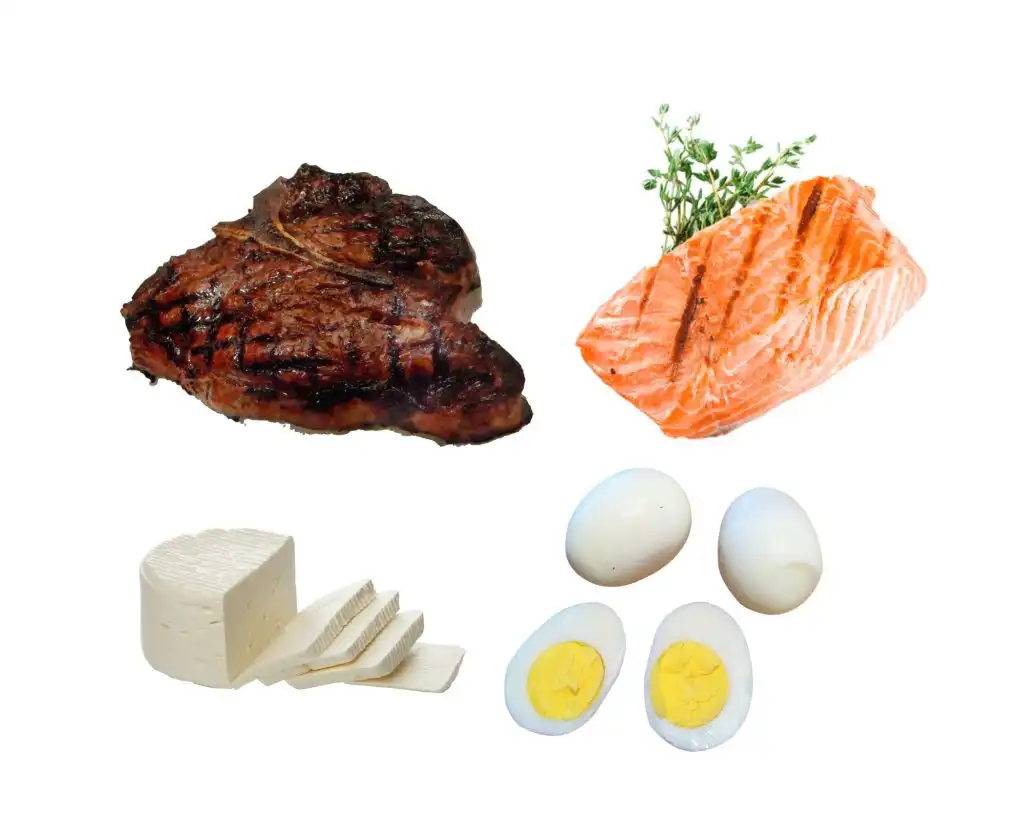 prato saudável, proteínas