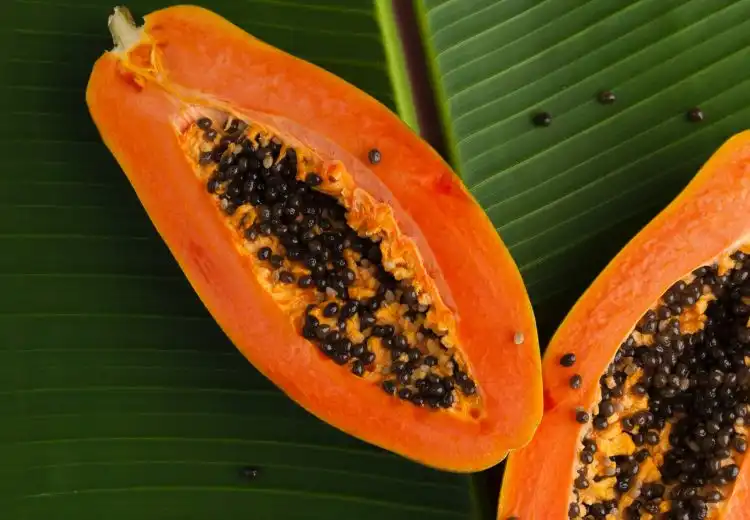 benefícios da semente de mamão