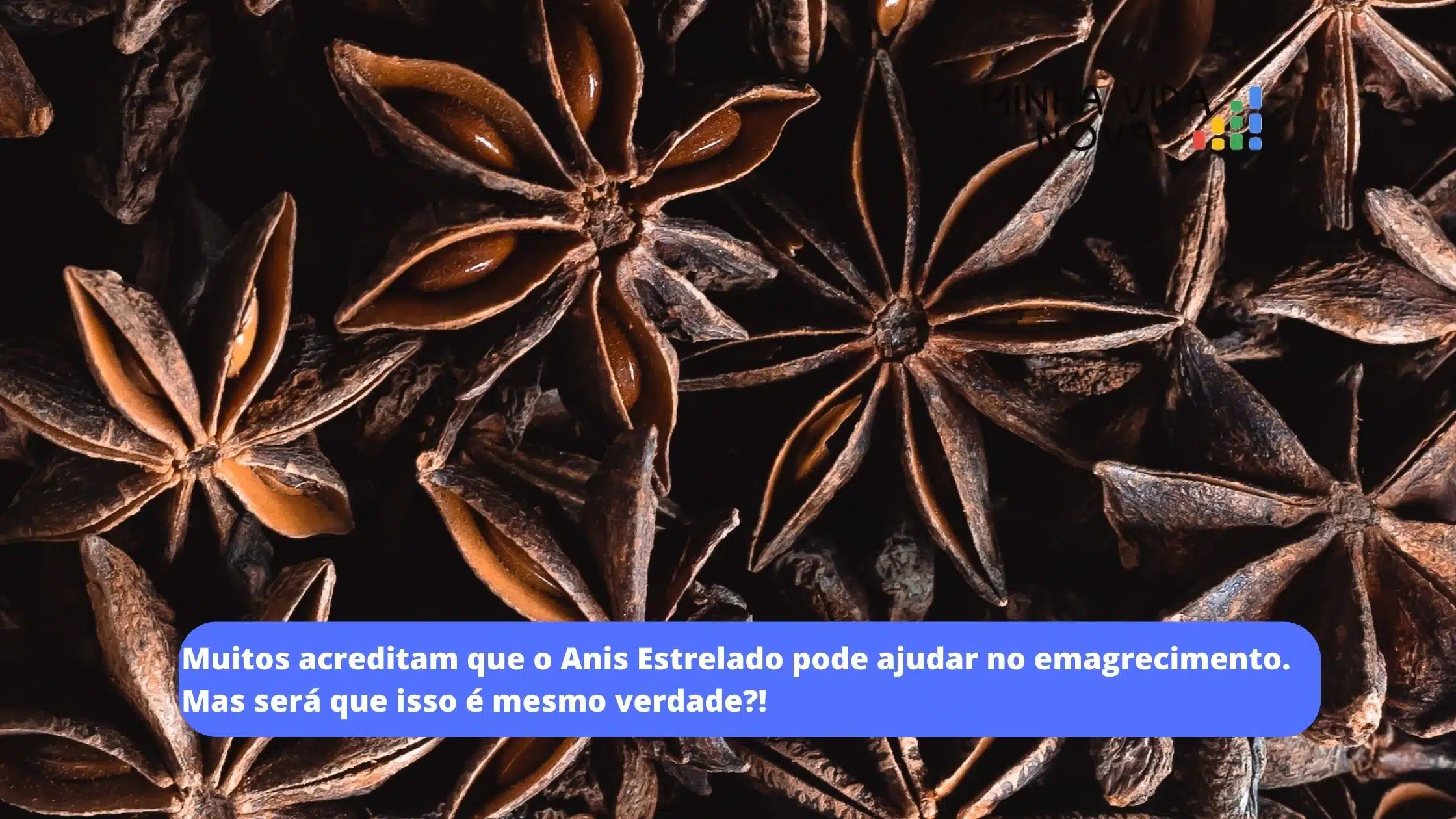 anis estrelado emagrece