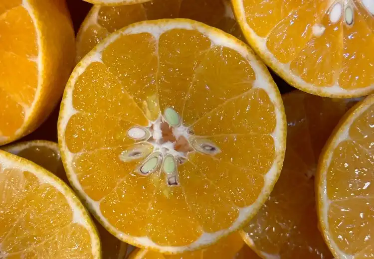 Comer semente de laranja faz mal ou faz bem?