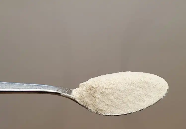 psyllium em pó