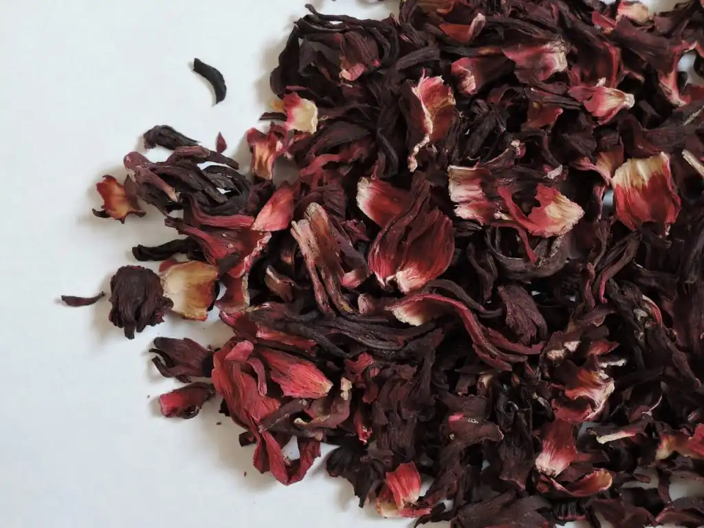 O Universo Fitoterápico para Emagrecer, 8 alternativas que podem realmente te ajudar! 5 hibisco