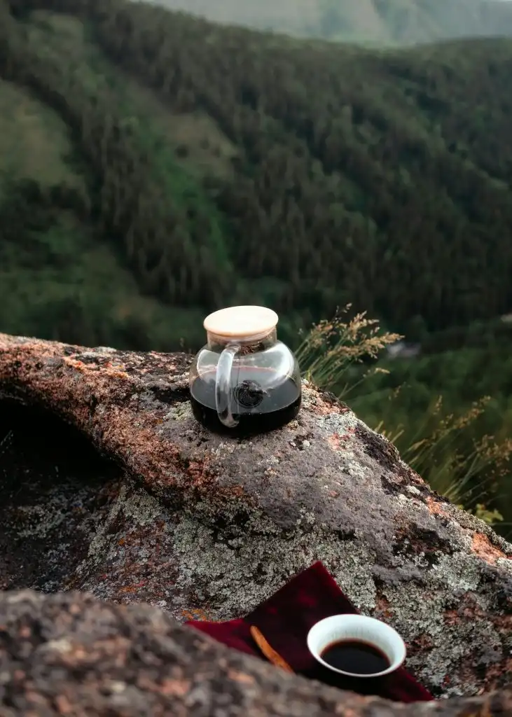 9 Chás com cafeína para aumentar a disposição e ajudar a acelerar o metabolismo. 8 Cha Pu erh